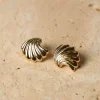Online Love From Lilou Livvy Stud