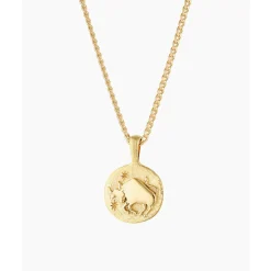 Online Slani Zodiac Necklace 18inch