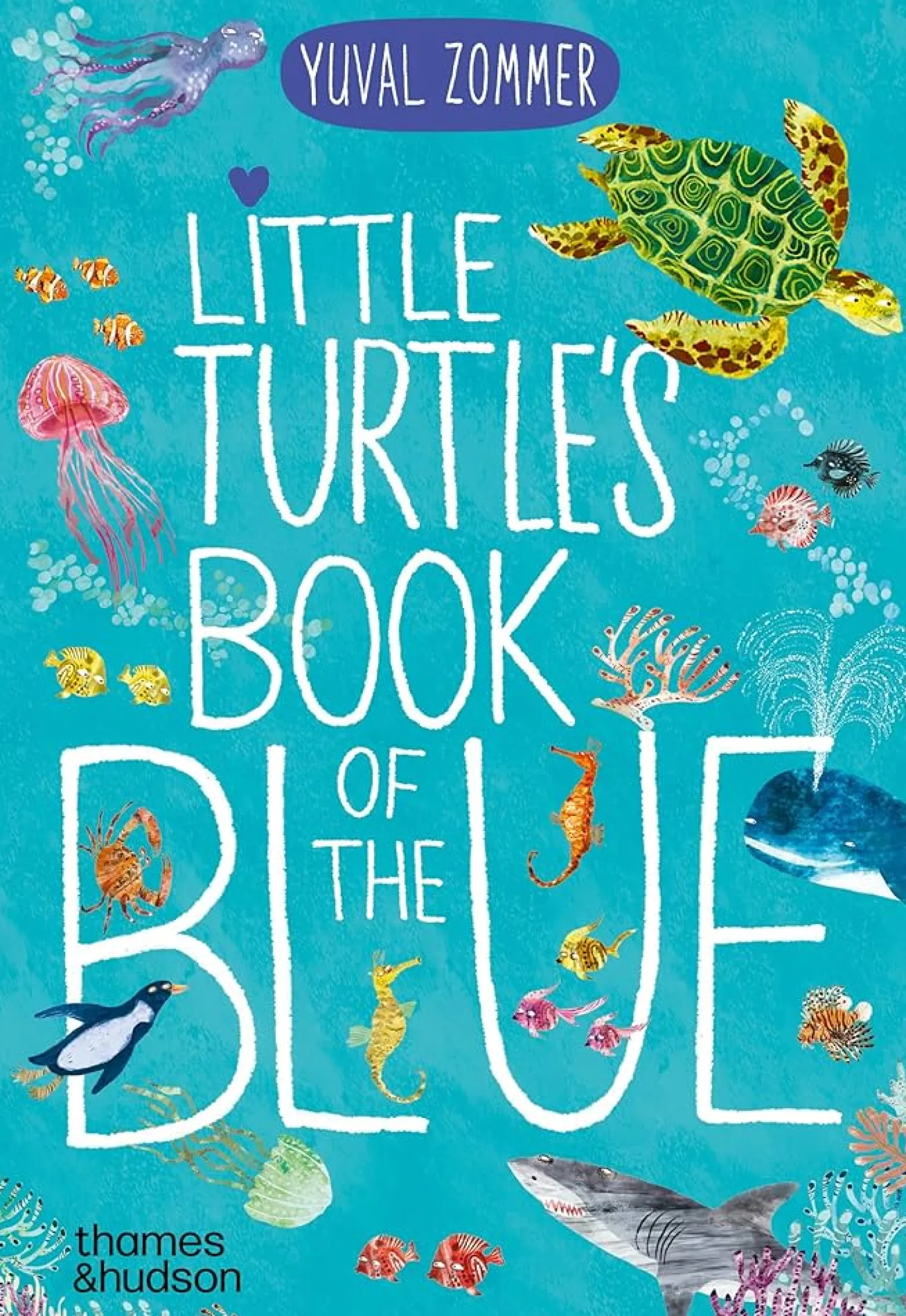 Best Hardie Grant Little Turtle's Book Of The Blue