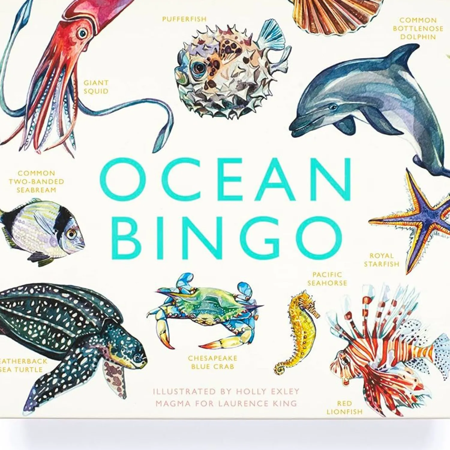 Online Brumby Ocean Bingo