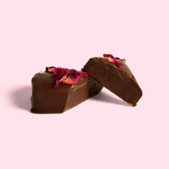 New Loco Love Wild Rose